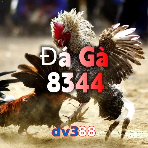 dv388
